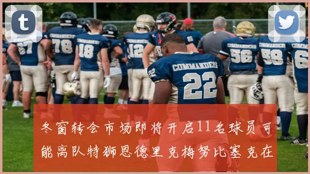 冬窗转会市场即将开启11名球员可能离队特狮恩德里克梅努比塞克在列