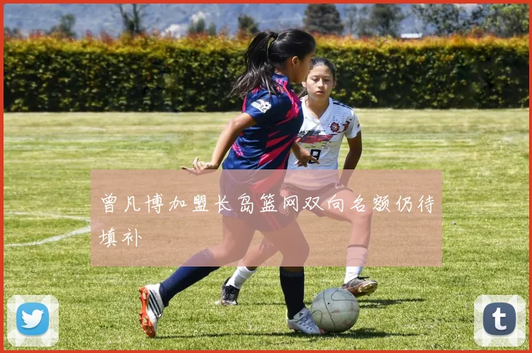 曾凡博加盟长岛篮网双向名额仍待填补